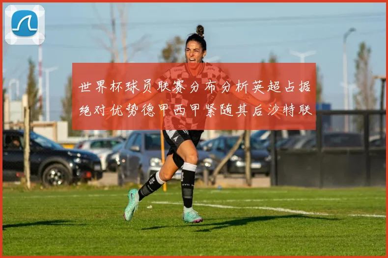 世界杯球员联赛分布分析英超占据绝对优势德甲西甲紧随其后沙特联排名第六