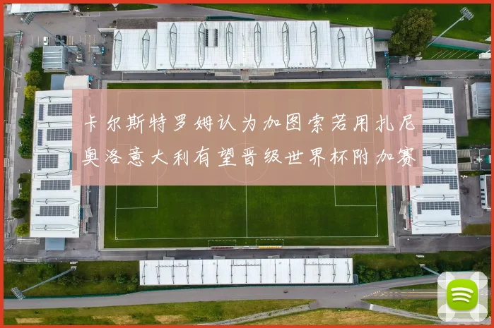 卡尔斯特罗姆认为加图索若用扎尼奥洛意大利有望晋级世界杯附加赛